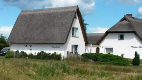 Hagebutte in Wieck Am Darß